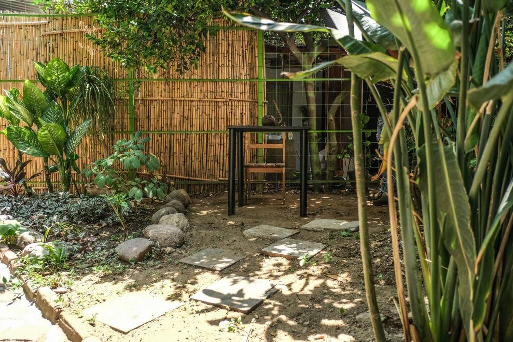 Chill Green Beautiful Downtown Area Tv Good Wifi Oaxaca Exterior foto