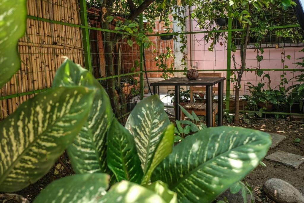 Chill Green Beautiful Downtown Area Tv Good Wifi Oaxaca Exterior foto